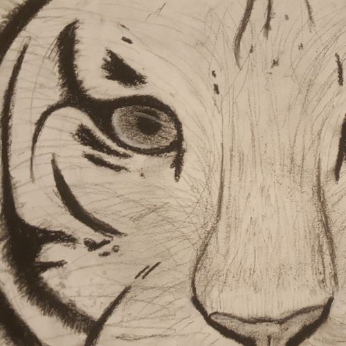 Button Image of Lydia Project: Charcoal Tiger